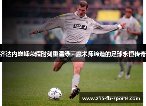 齐达内巅峰荣耀时刻重温绿茵魔术师缔造的足球永恒传奇 齐达内巅峰荣耀时刻重温绿茵魔术师缔造的足球永恒传奇