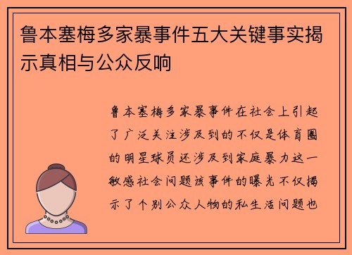 鲁本塞梅多家暴事件五大关键事实揭示真相与公众反响