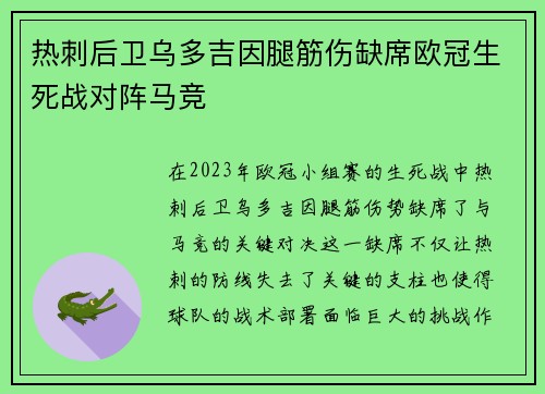 热刺后卫乌多吉因腿筋伤缺席欧冠生死战对阵马竞